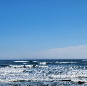 Meet your Posher, Patricia